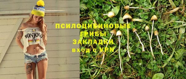 спайс Вязьма