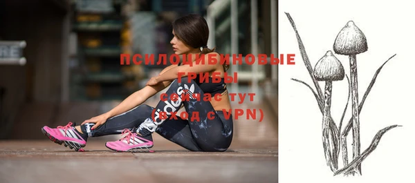 первитин Вяземский