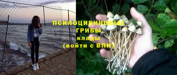 спайс Вязьма