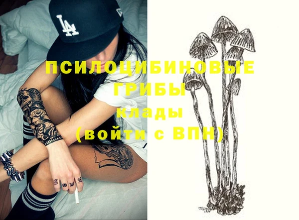 спайс Вязьма