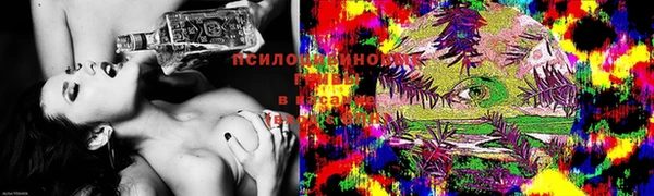 спайс Вязьма