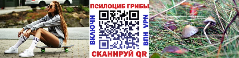 Псилоцибиновые грибы мицелий Жуков